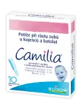 3735_3D CAMILIA10 P (RGB)